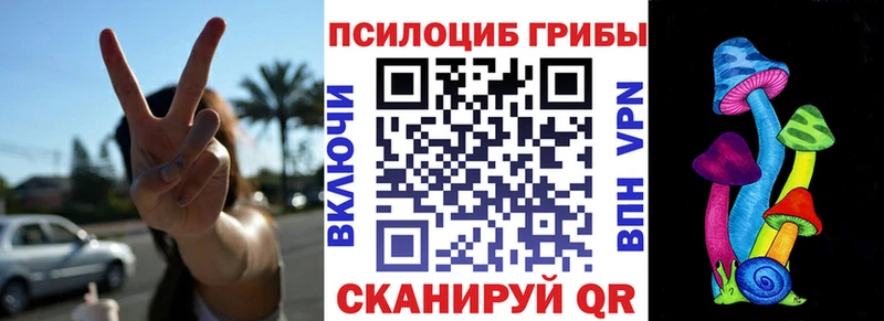 Купить закладки  Кирсанов  Галлюциногенные грибы GOLDEN TEACHER 